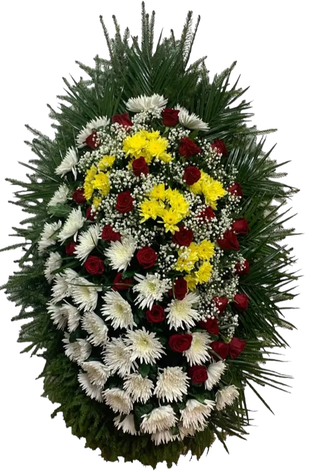 Популярные модели