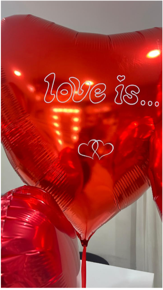 шары на 14 февраля №21