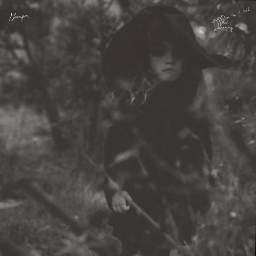 Grouper - Dragging A Dead Deer Up A Hill