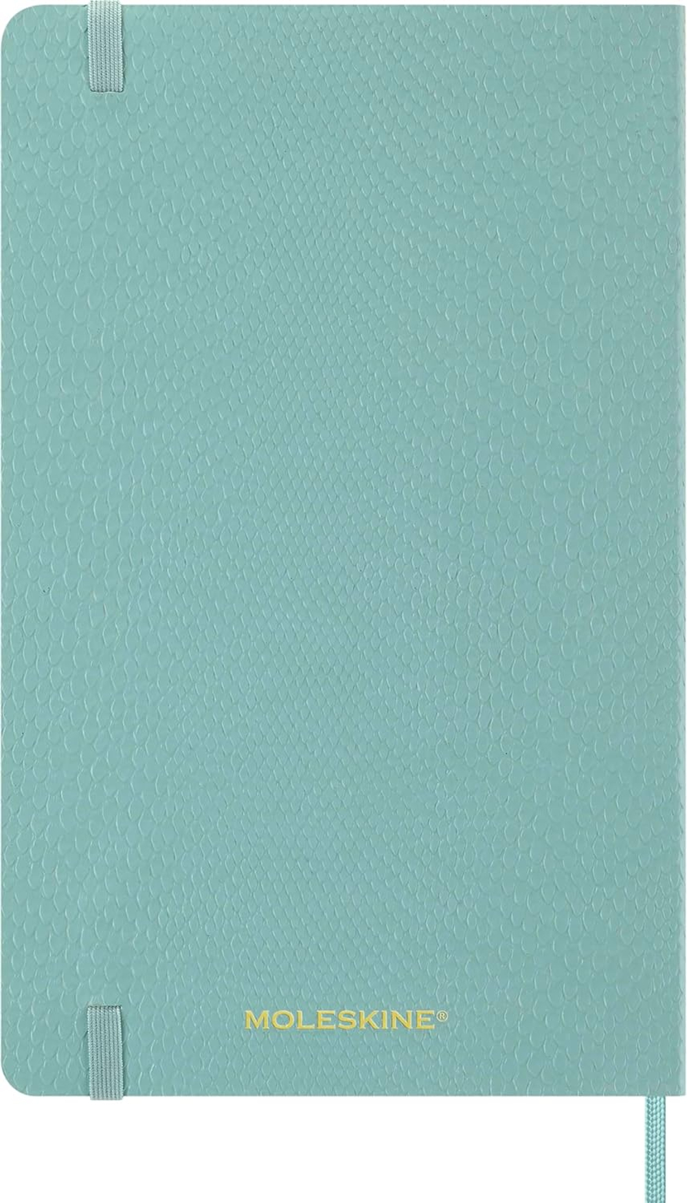 Еженедельник Moleskine PRECIOUS & ETHICAL MAMBA Large 130х210мм обложка экокожа 144стр бирюзовый (DSPRETK812WN3)