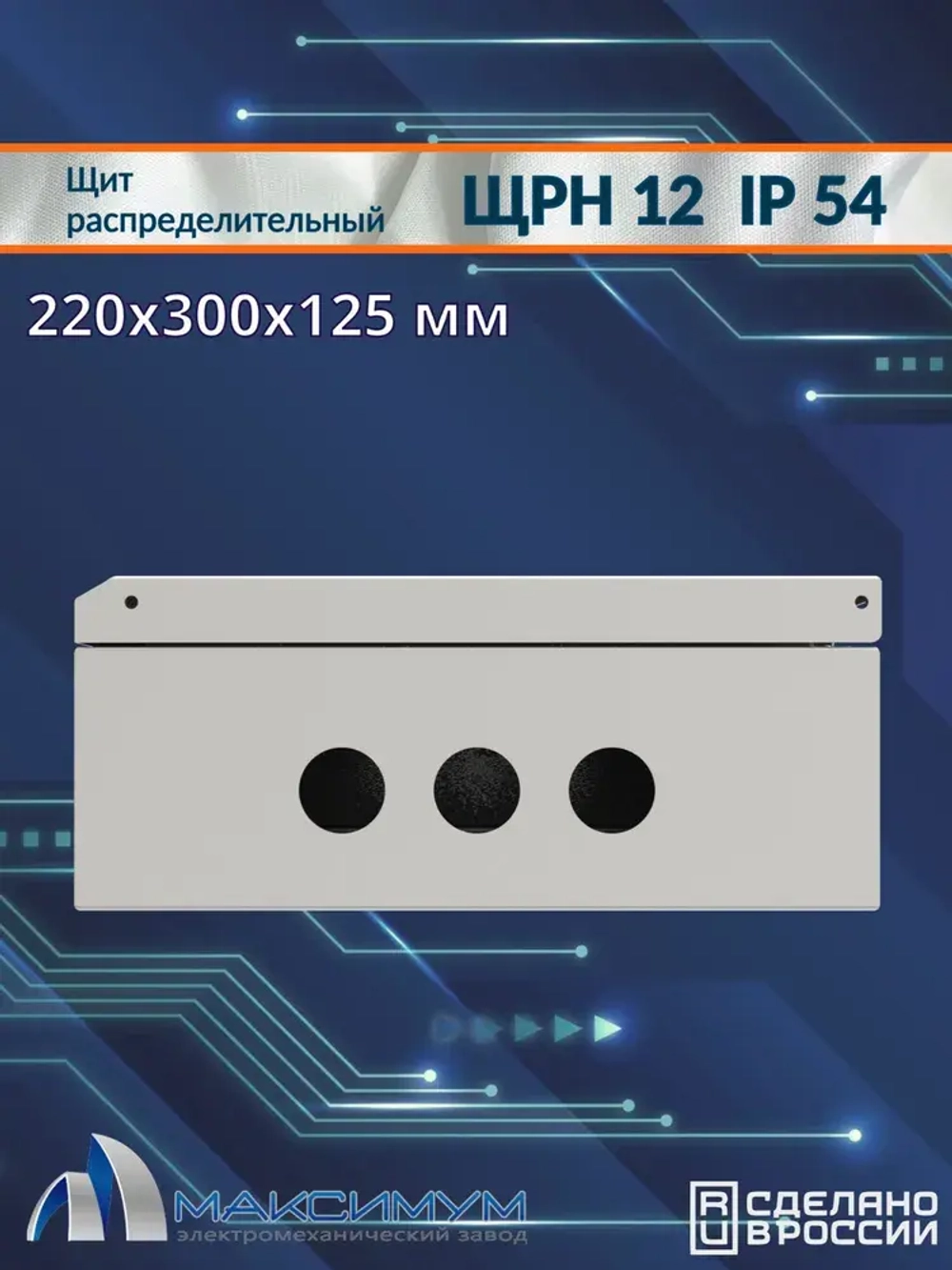 Корпус щита распределительного навесного ЩРН-12 (220х300х125) IP54 , металл