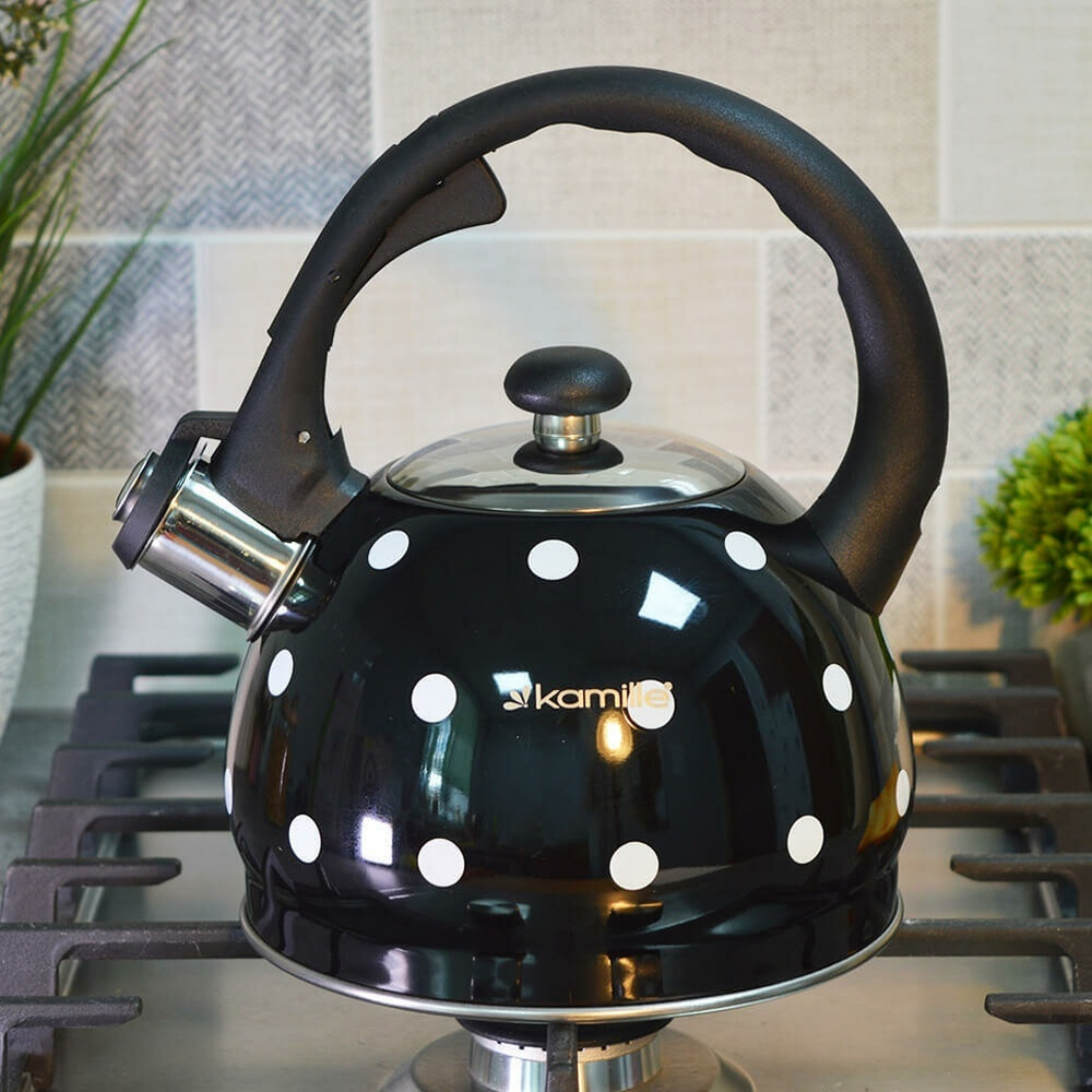 Чайник 2л нерж со свистком, 1070BL