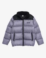 Пуховик Anteater AW24 Downjacket Stroke серый