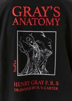 Футболка Anatomy Grays Oversize, черная