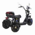 Электроскутер SKYBOARD CITYCOCO TRIKE BR40-3000 PRO FAST OFF-ROAD