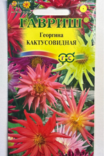 Георгина Кактусовидная, смесь 0,2 г СМЦ-266