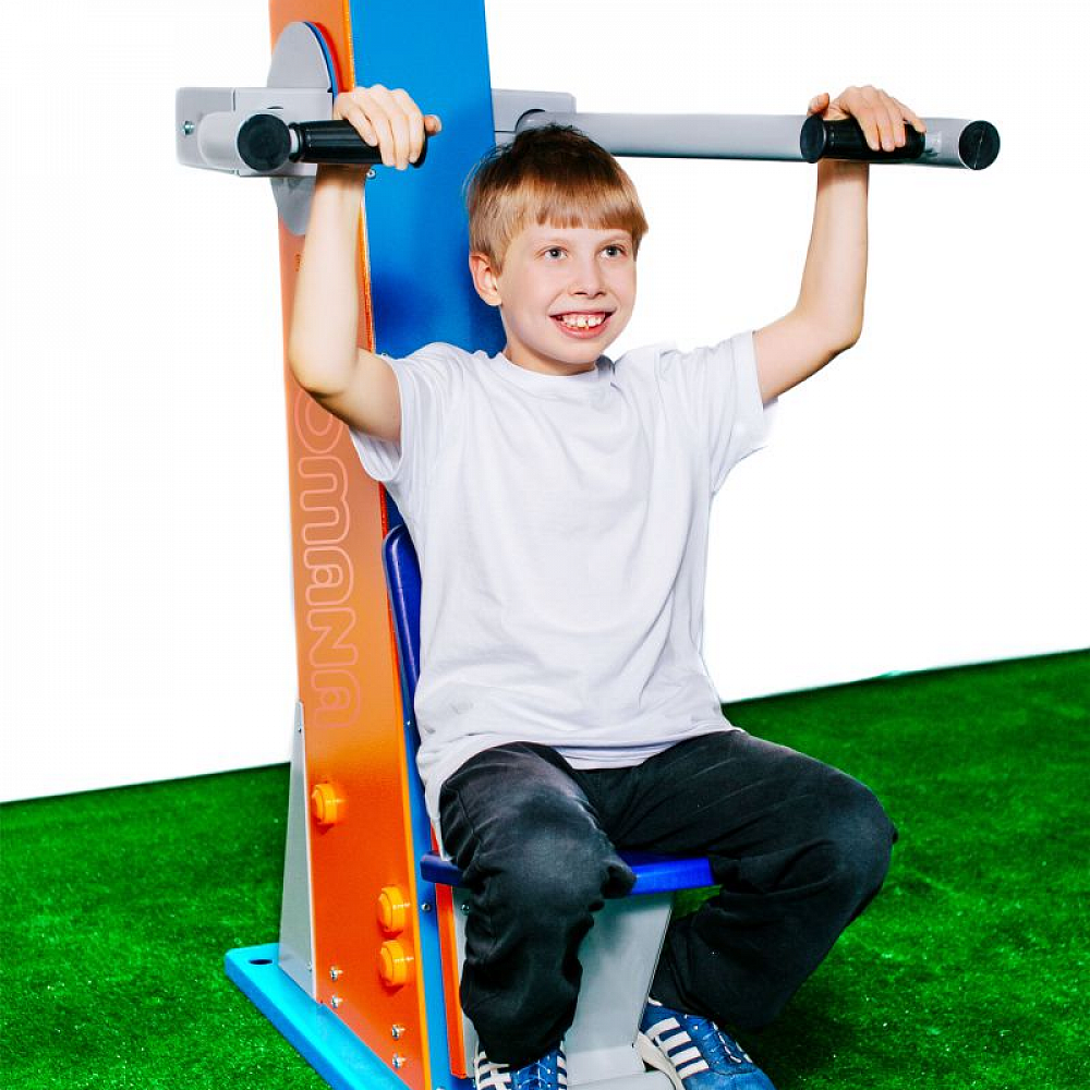 Уличный тренажер для спортивной площадки Romana 208.11.00