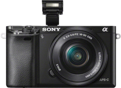 Объектив Sony 16-50mm f/3.5-5.6 (SELP1650), черный