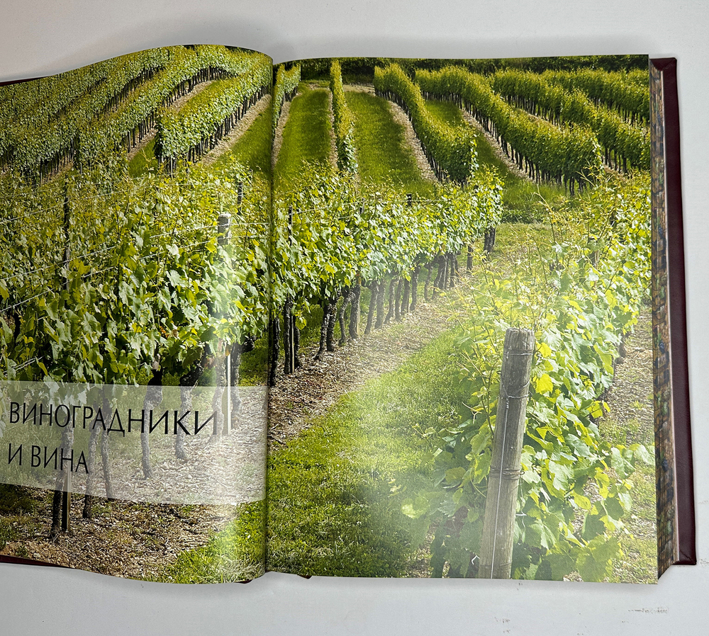 LAROUSSE ( Ларусс) энциклопедия Вино, Оливье Пуссье, М., Изд. Хлеб. Соль, 2021 г. Подарочное издание