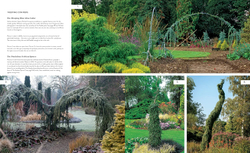 Gardening with conifers
