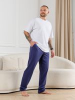 Брюки мужские Тор-3 Виотекс СИНИЙ