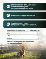 Vita+ мультивитаминное лакомство для кошек Для кастрированных котов и стерилизованных кошек, 90 таблеток