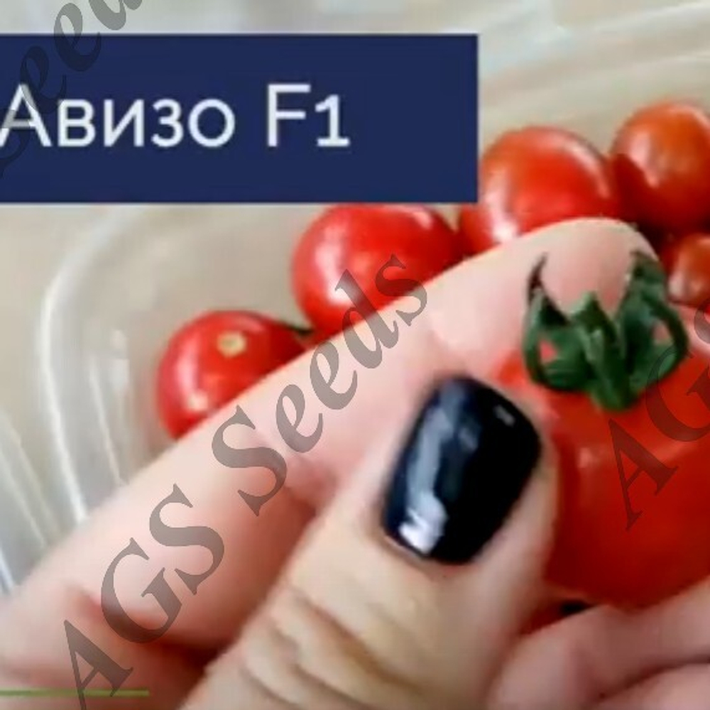 Авизо F1 томат черри River Seeds профессиональные семена