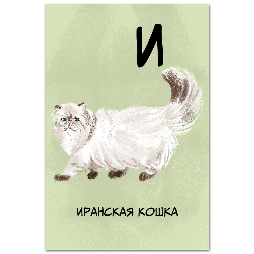 Иранская (персидская) кошка