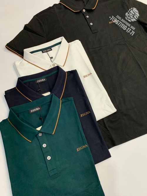 Поло Ermenegildo Zegna