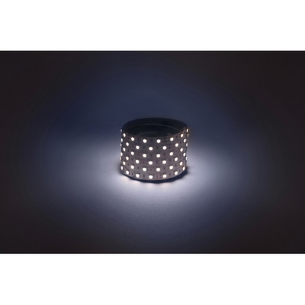 Светодиодная лента ЭРА LS5050-14,4-60-12-6500K-IP20-2year-5m холодный белый