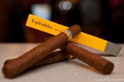 Cohiba Esplendidos