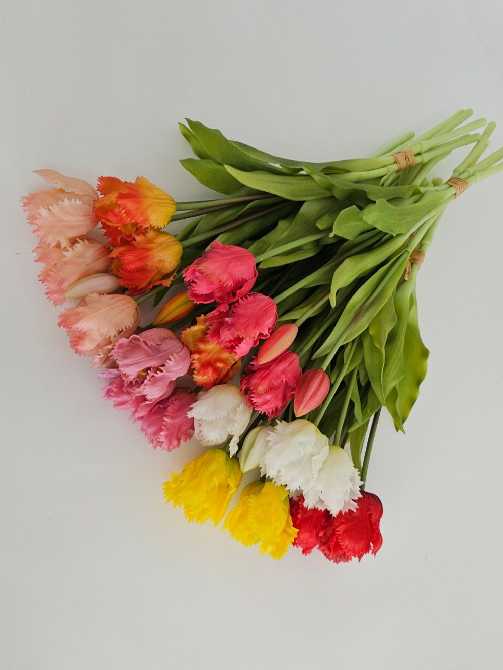 Тюльпаны бахромчатые / Арт 2544