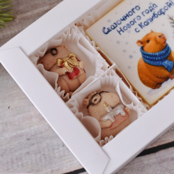 Набор "Сказочного Нового Года" с капибарой