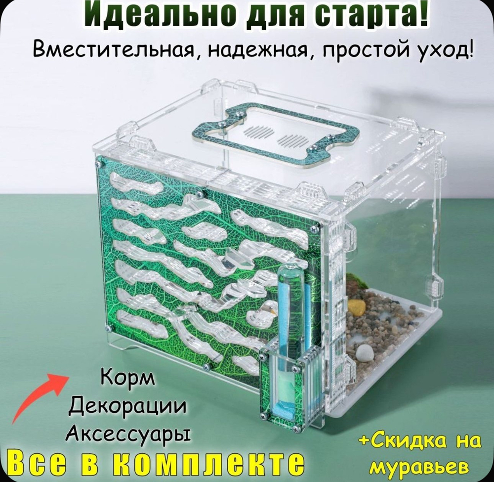 Большой Формикарий «Джунгли» с муравьями в подарок