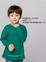 Лонгслив для мальчика на осень