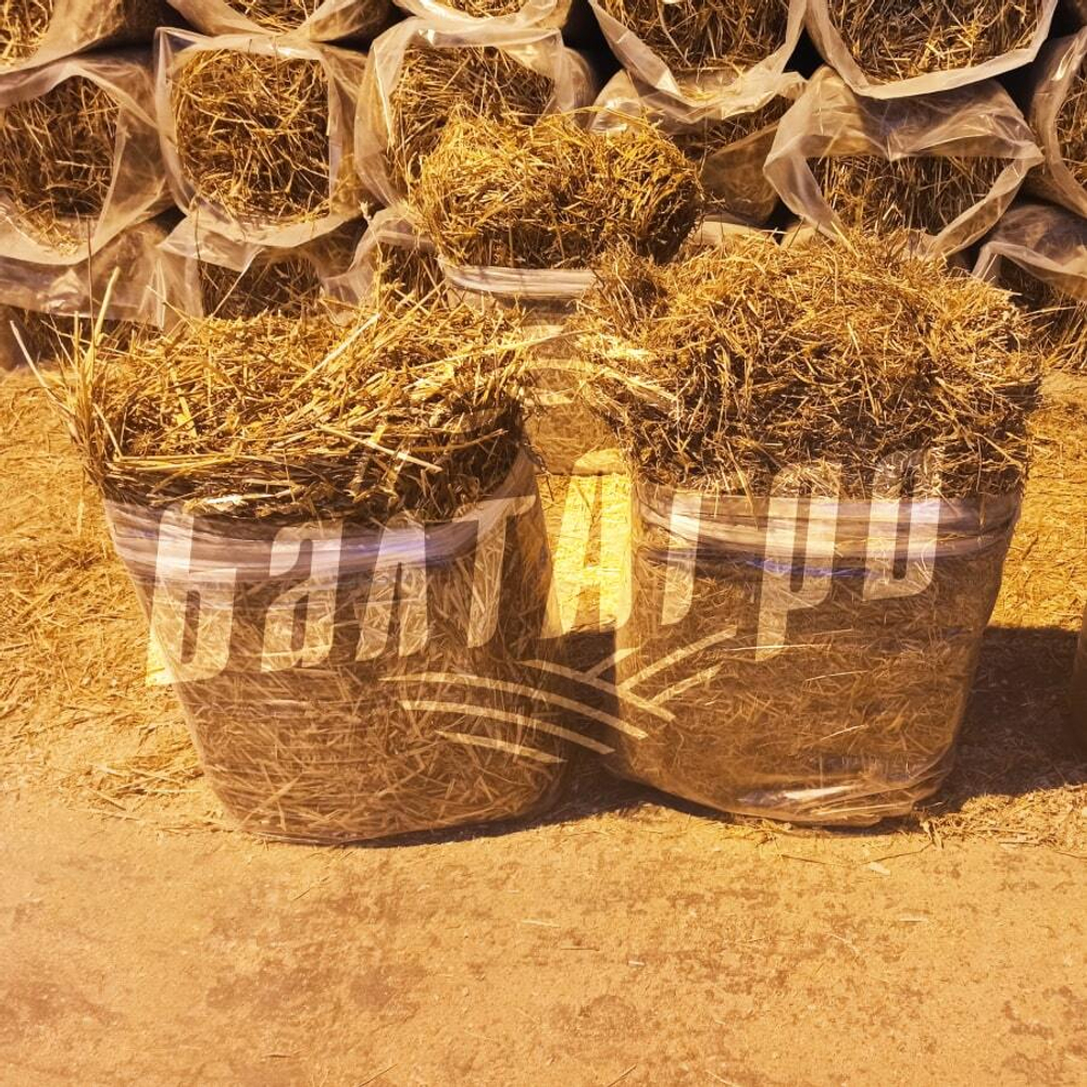 Солома пшеничная золотистая сухая 10 кг