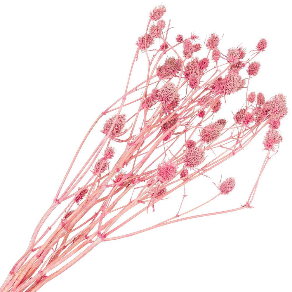 Сухоцветы набор "Эрингиум (Синеголовик)" H50см (5шт) (Розовый)