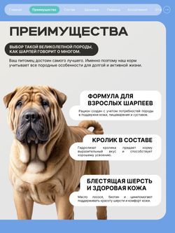 Корм сухой для собак породы Шарпей, с кроликом, 3 кг, QUATTRO