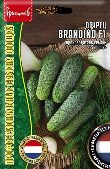 Огурец Brandino 5шт ЧК