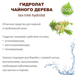 Гидролат чайного дерева / tea tree hydrolat