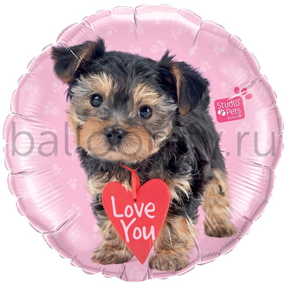Фольгированная фигура, круг, ILY Щенок Терьер,18"/46СМ