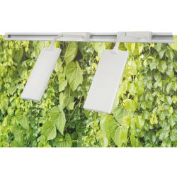 ULB-P37-12W-SPFR WHITE SET2 Светильник-прожектор светодиодный трековый. в составе набора из 2штук. Спектр для фотосинтеза. Корпус белый. ТМ Uniel