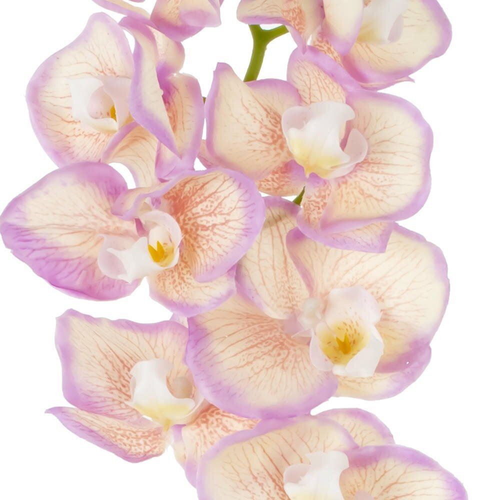 GAEM Цветок искусственный "Орхидея", L15 W9 H80 см