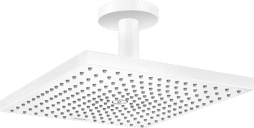 Верхний душ Hansgrohe Raindance E 300 1jet 26250700