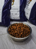 Сухой корм для собак "Shaman" Белая рыба 800 г; крупные гранулы; Класс Холистик