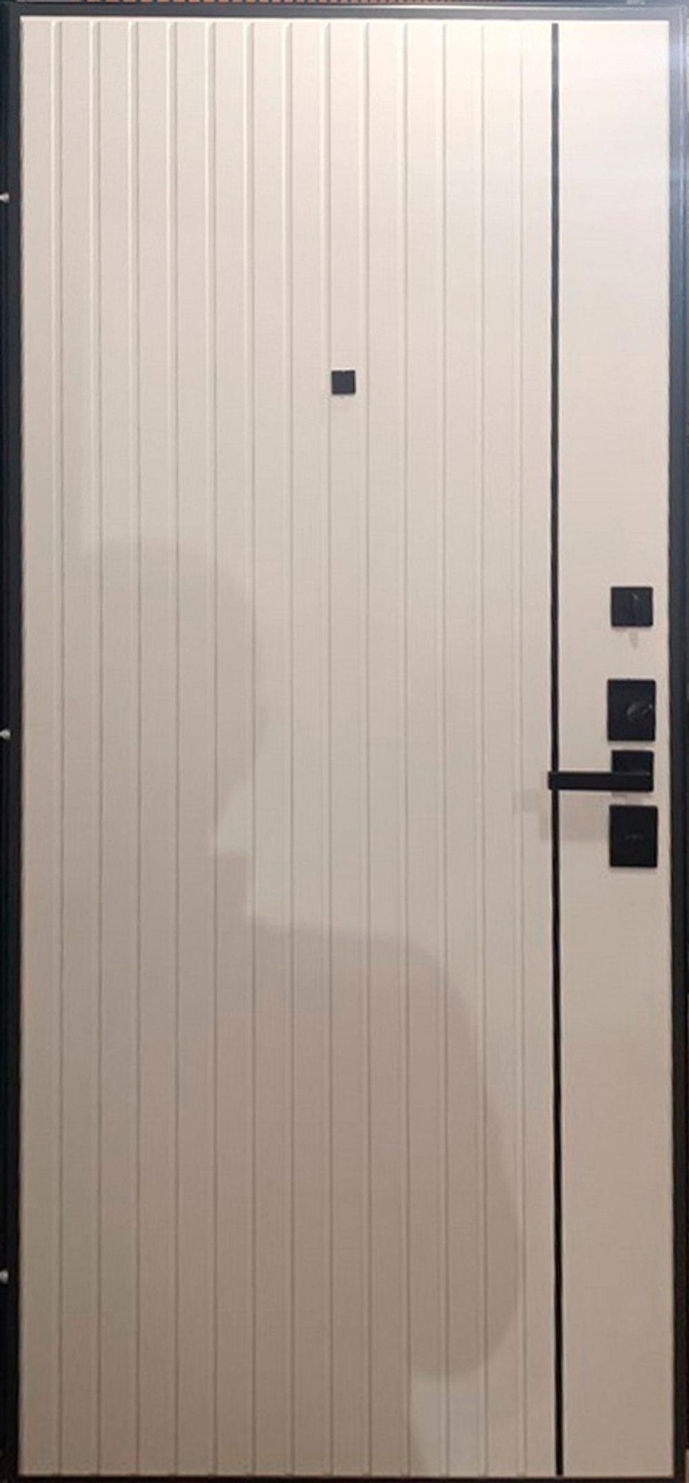 Стальная дверь "Спектра". Заказная модель.