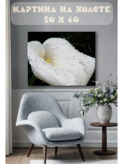 Картина на стену 40 X 50 Калла цветок
