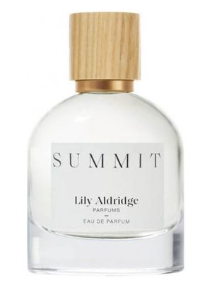 Lily Aldridge Summit