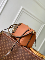 Louis Vuitton Express PM