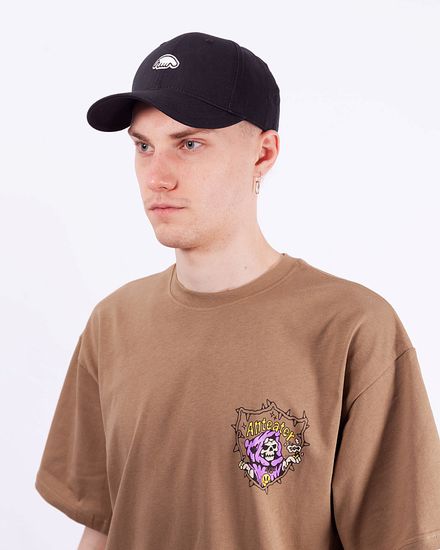 Кепка Anteater Baseball black