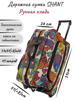 Дорожная сумка SHANT