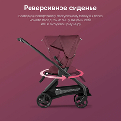 Прогулочная коляска Bugaboo Dragonfly complete Black/Dark Cherry-Dark Cherry