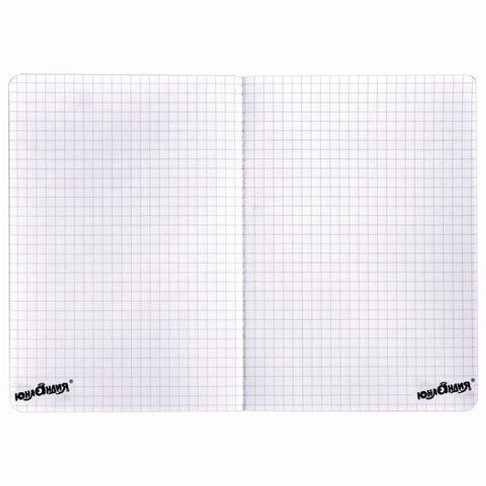 Блокнот МАЛЫЙ ФОРМАТ (103х148 мм) А6, 32 л., сшивка, голограмма, клетка, ЮНЛАНДИЯ, Мороженое, 662700