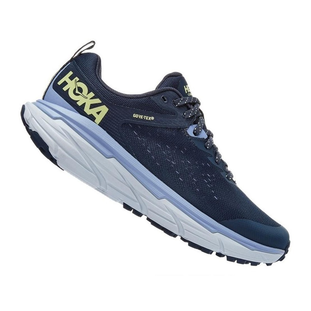 Кроссовки женские HOKA W CHALLENGER ATR 6 GTX OUTER SPACE / ARCTIC ICE