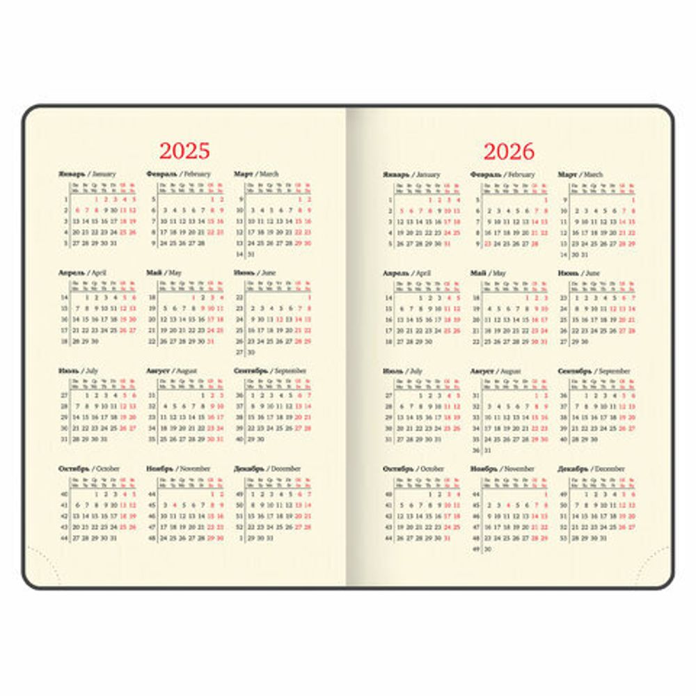 Ежедневник датированный 2025, А5, 138x213 мм, BRAUBERG "Iguana", под кожу, черный, 115779