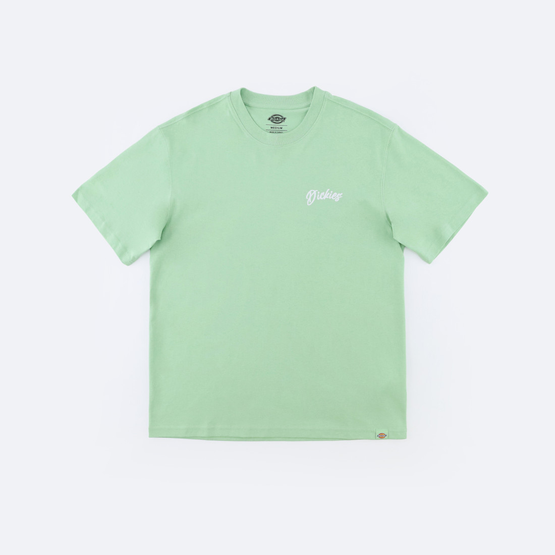 Купить Футболка Dickies Dighton Graphic T-Shirt (quiet green)