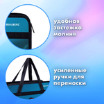 Папка на молнии с ручками BRAUBERG А4 1 отделение пластик 80 мм "Speed" (3 штуки в упаковке)