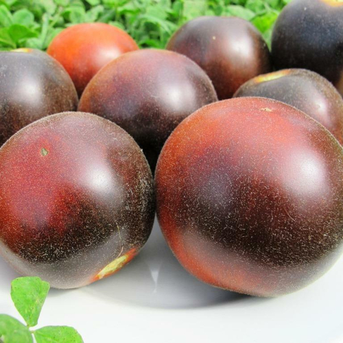 Помидоры Пушистая Голубая Сойка - Wooly Blue Jay