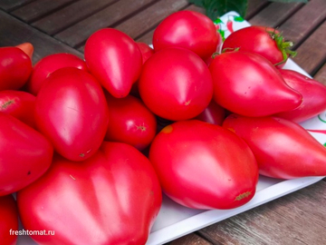 Гном Десперадо (Dwarf Desperado) сорт томата