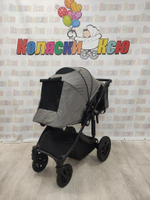 Коляска модульная 3в1 Farfello Molly Pro серый